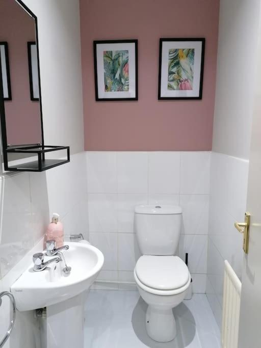 Stunning 3 Bedroom Townhouse In The Heart Of City 벨파스트 외부 사진
